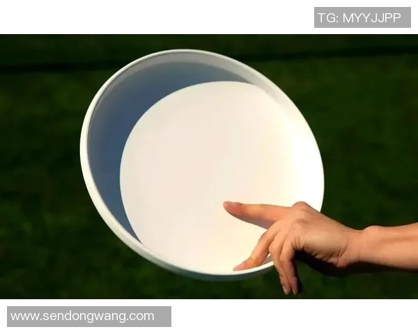 从零基础到飞盘高手的全面指南与实战技巧分享